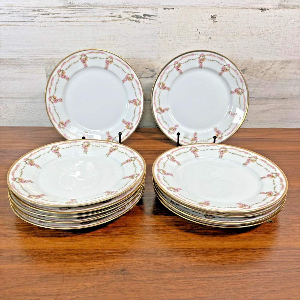 Antique M.Z Austria Altrohhlau Hand Painted Porcelain Salad Plates Qty 11 1900